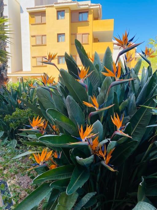 Casa De Flores トレビエハ エクステリア 写真